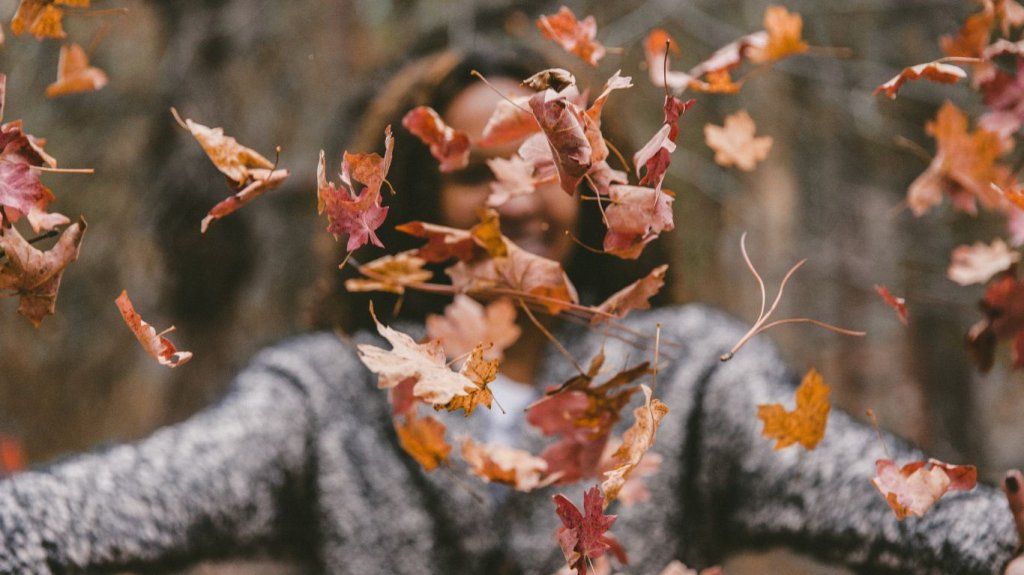 Cocooning en Automne : Écoutez la Sagesse des Saisons pour Cultiver le Bien-être Mental